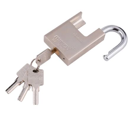 Cadenas argenté de cadenas de haute sécurité de 40mm 50mm 60mm 70mm avec la clé