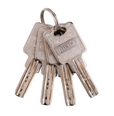 Cadenas argenté de cadenas de haute sécurité de 40mm 50mm 60mm 70mm avec la clé